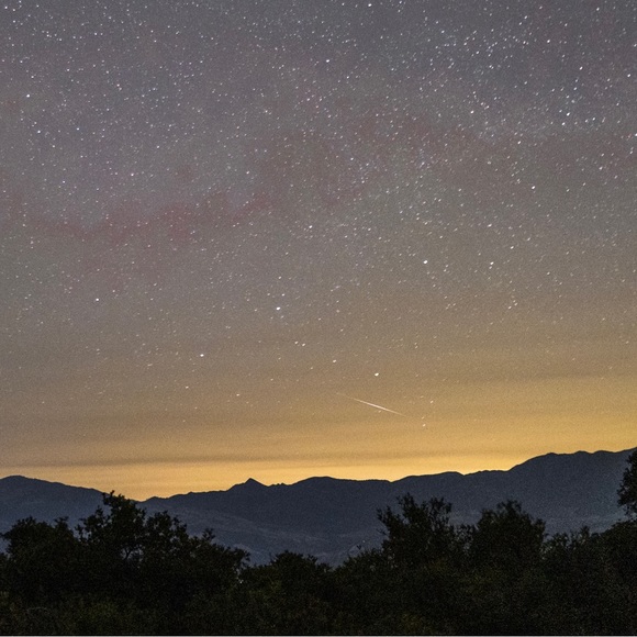 Hello + Welcome to my Little Homestead 👋 - Picture 10 of 16